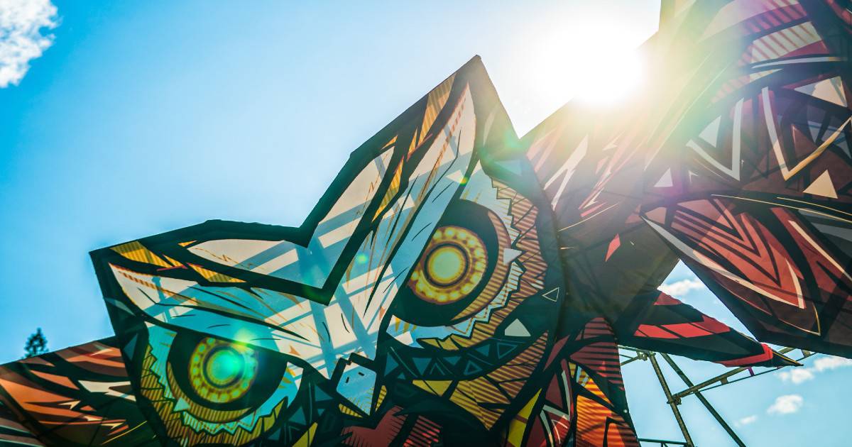 Owl Festival 2019