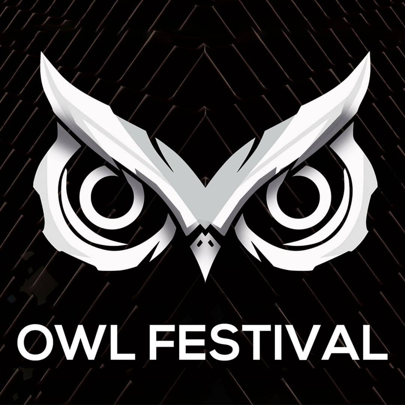 Owl Festival 2021 | Buss 1